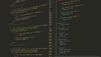 digital web design services